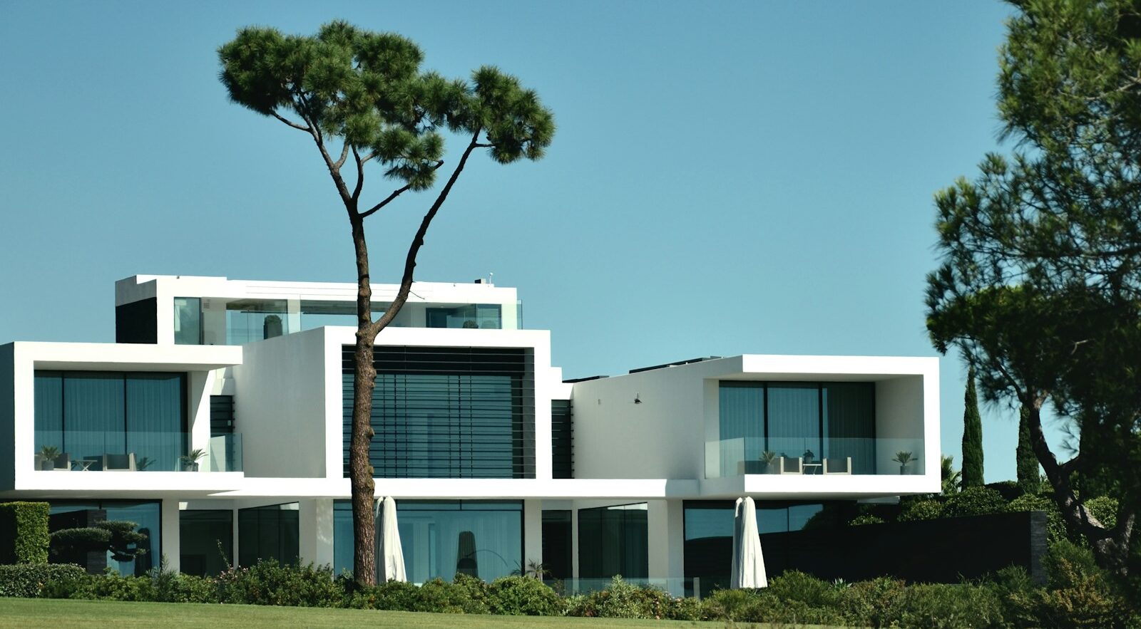 a large white building with a tree in front of it