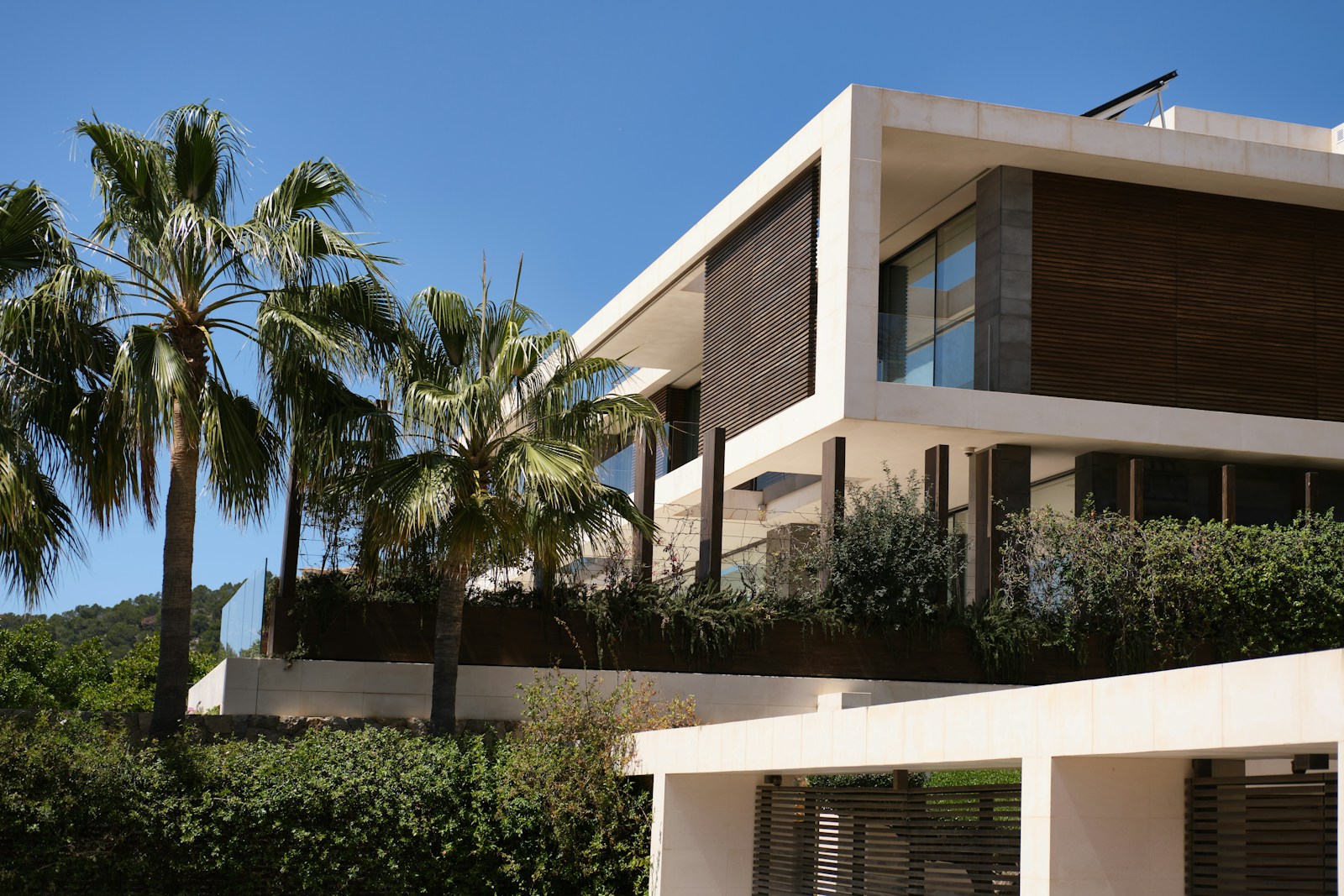 A modern, luxurious house sits among palm trees.