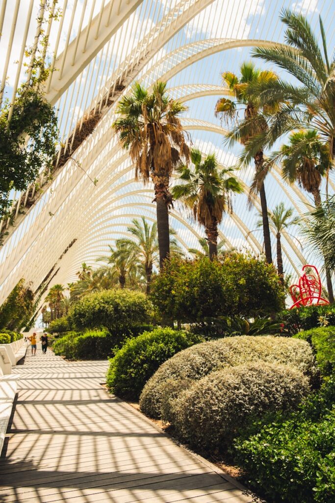 Valence Cité des Arts et des Sciences – Local commercial Espagne